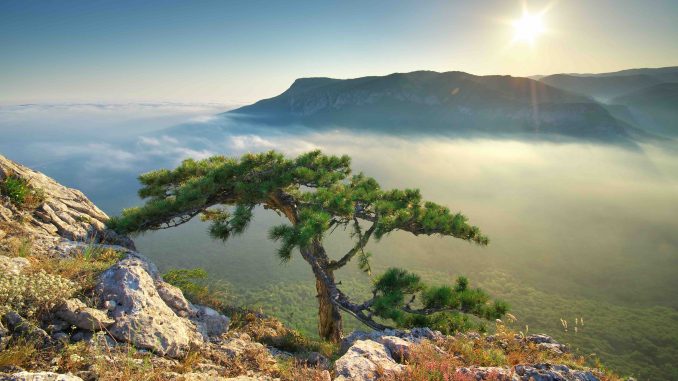 Mountain landscape