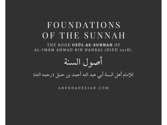 Foundations of Sunnah Text