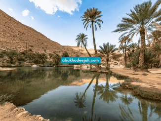 oasis desert trees