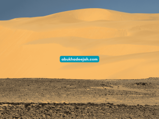 desert landscape