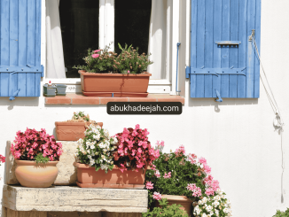 Home flowers windows
