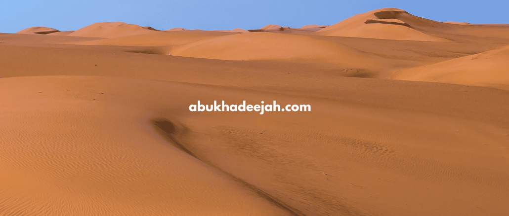 desert sand dune differing