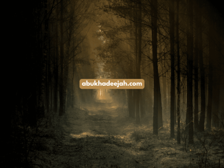 dark forest trees