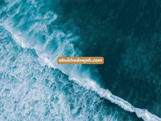 water sea