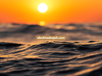 Sea sunset